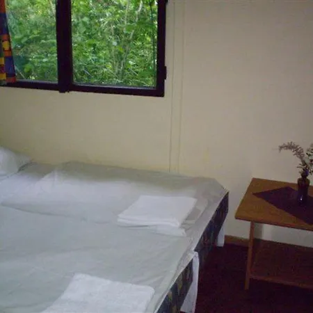 Vadregeny Panzio Bed & Breakfast