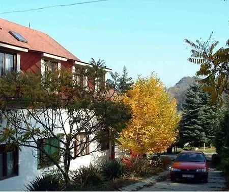 Vadregeny Panzio *