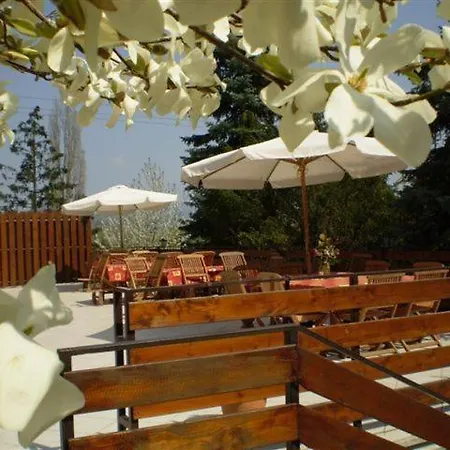 ベッド・アンド・ブレックファスト Vadregeny Panzio