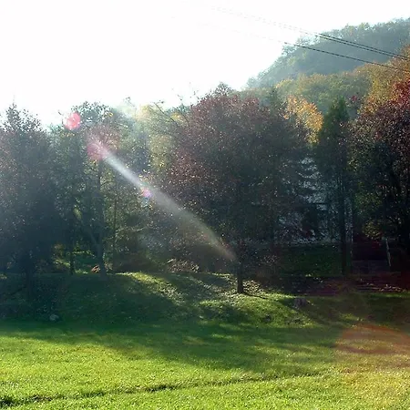 Bed & Breakfast Vadregeny Panzio *