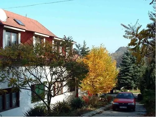Vadregeny Panzio *