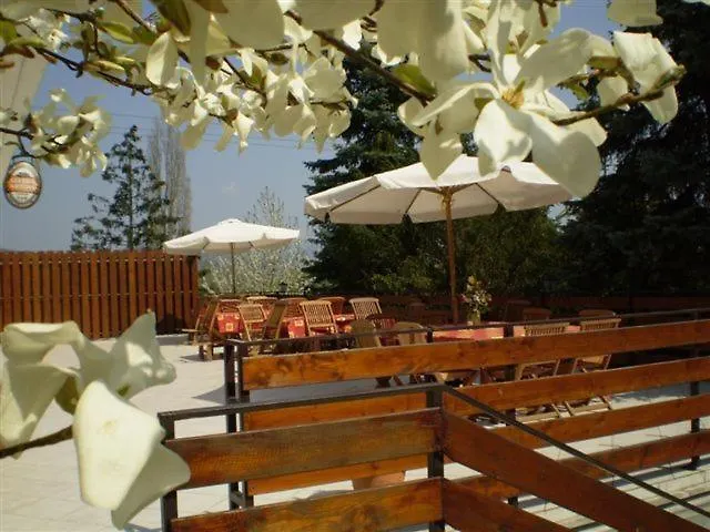 Couette-café Vadregeny Panzio