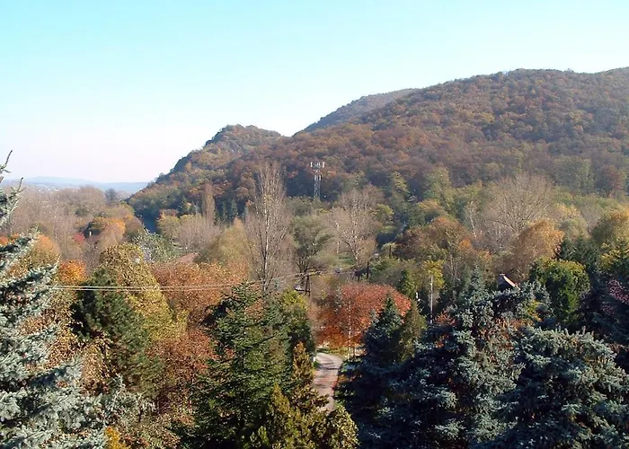 Frühstückspension Vadregeny Panzio Esztergom