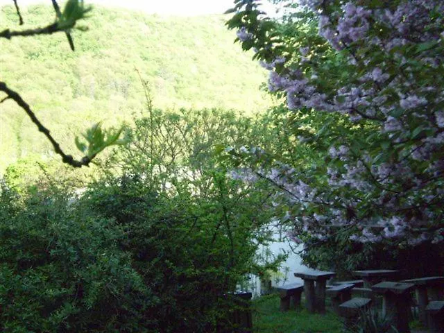 Vadregeny Panzio Couette-café Esztergom